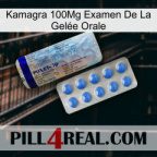 Kamagra 100Mg Examen De La Gelée Orale 39